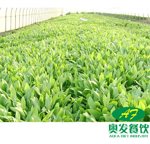 武漢蔬菜配送時(shí)要注意什么？